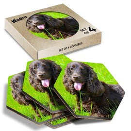 4 x Hexagon Coasters - Irish Water Spaniel Dog Breed Puppy Cork Backed MDF Glossy Tea Coffee Accessory #51234