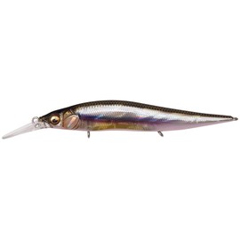 Megabus Vision Oneten+1 Jr. Kasumi ITO 3.8 inches (98 mm)