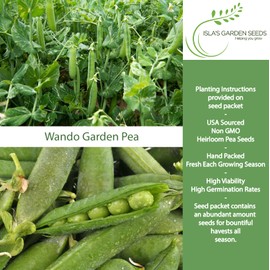 Wando Garden Pea Seeds (Pisum sativum) – 50+ Heirloom Non-GMO Seeds by Isla’s Garden Seeds, Sweet Shelling Peas, Cool-Season Garden Favorite, Early Harvest Pods, Backyard Vegetable Patch Variety