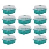 10Pcs Seedling Trays 12 Hole Transparent Adjustable Ventilated Seedling Starter