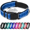 TECEUM - Collar para perro azul cielo - Collar para
