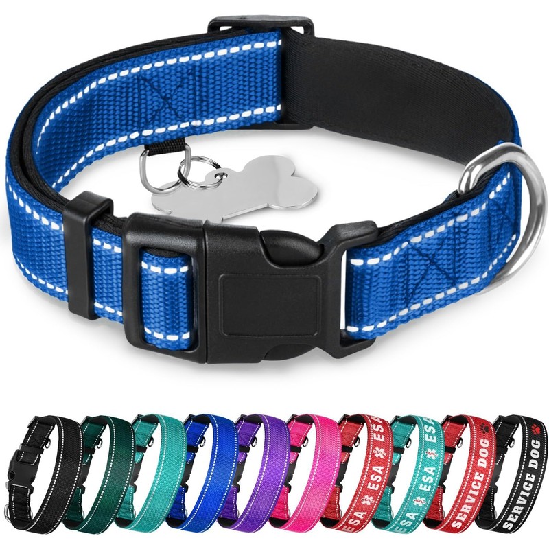 TECEUM - Collar para perro azul cielo - Collar para