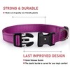 Reflective Dog Collar with Buckle Adjustable Safety Nylon Collars for
