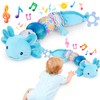 Baby Toys 6-12 Months