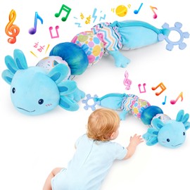 Baby Toys 6-12 Months