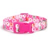 Moonpet Dog Collars for Puppy X-Small Small Medium Large Dogs