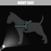 Didog Soft Flannel Padded Dog Vest Harness, No Pull/Quick Fit