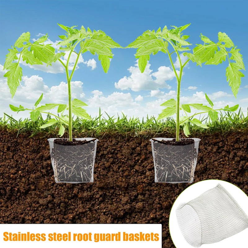 Sgphrzlt 4 Pack 3 Gallon Stainless Steel Plant Root Gopher