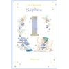 Nephew 1st Birthday Card Age 1 Catkin Pixie 9" x