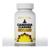 Pure Peak Candida Cleanse ayuda al intestino y al colon