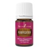 Young Living Aceite Esencial Purificación 5ml. Young Living, Aromaterapia