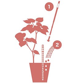 Sustee Aquameter - Juego de 2 sensores de humedad para plantas, (blanco, mediano, recargable)