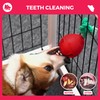Fossa Interactive Dog Toys, Crate Training Aids for Puppies, Puzzle