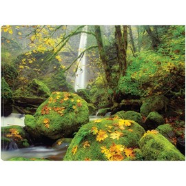 Fine Art Canvas Green Heaven Canvas Wall Decor by Artist Dennis Frates for Living Room, Bedroom, Bathroom, Kitchen, Office, Bar, Dining & Guest Room - Ready to Hang - 32 in x 24 in