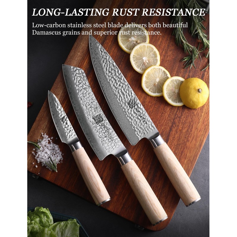 Jingseiho Professional Knife Set - VG-10 67-Layer Damascus Forged Steel,