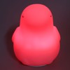 Baby Rabbit Night Light USB Rechargeable 7 Color Changing Toddler