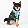 Puppia Theros Dog Harness A (Over-The-Head) Fashionable Striped Pattern Spring