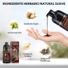 Kaisasa Shampoo Con Tinte Cubre Canas Con Aceite De Argn