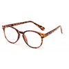 IB The Actor BIFOCAL Unisex Round Reading Glasses, Readers for
