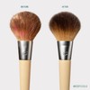 EcoTools Makeup Brush & Sponge Shampoo - Fragrance-Free Cleanser for