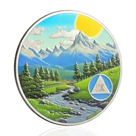 CHURYUML 9 Year Sobriety Coin Nine Year Sobriety Chip AA Coins Sobriety Gifts for Men Women AA Recovery Medallions with Serenity Prayer on Back Alcoholics Anonymous Addiction Recovery Gift