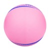 ミカサ(MIKASA) カラーソフトバレーボール 円周78cm 検定球(ピンク)MSN78-P