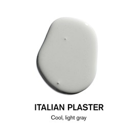 BACKDROP | Premium Exterior Paint | Standard Semi Matte, Low Sheen Finish | Self-Priming, Low VOC, Green Wise Certified | ITALIAN PLASTER - Cool, light gray | 1 Gallon