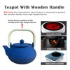 SECHUDO 30.4oz Small Tea Kettle, Blue Cast Iron Teapot with