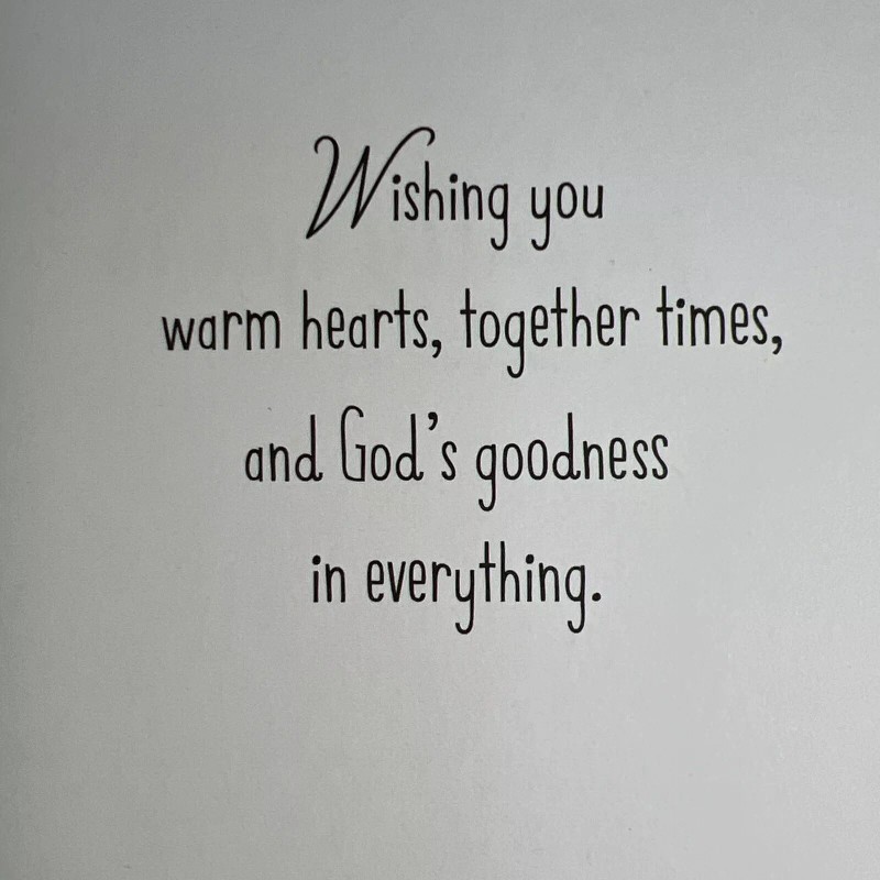 DaySpring Christmas Greeting Card Unused Pinecone Holly Pine Tree Branches