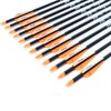 TIGER ARCHERY 30Inch Carbon Arrow Practice Hunting Arrows with Removable
