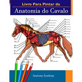 Livro Para Pintar da Anatomia do Cavalo: Livreto de auto-avaliação muito detalhado da Anatomia Equina | O Presente Perfeito para Estudantes Veterinários e Amantes de Cavalos (Portuguese Edition)