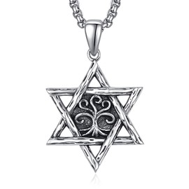 HXWZB Star of David Necklace for Men Sterling Silver Star of David Pendant Jewish Star Lion/Raven/Wolf David Jewellery for Men Women, Sterling Silver, No Gemstone