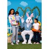 Deluxe Adult Easter Bunny Costume