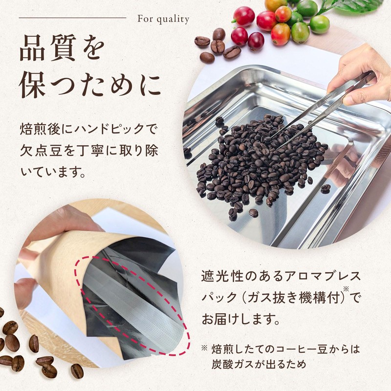 chill coffee Geisha Honey Costa Rica Premium Grade SHB Coffee