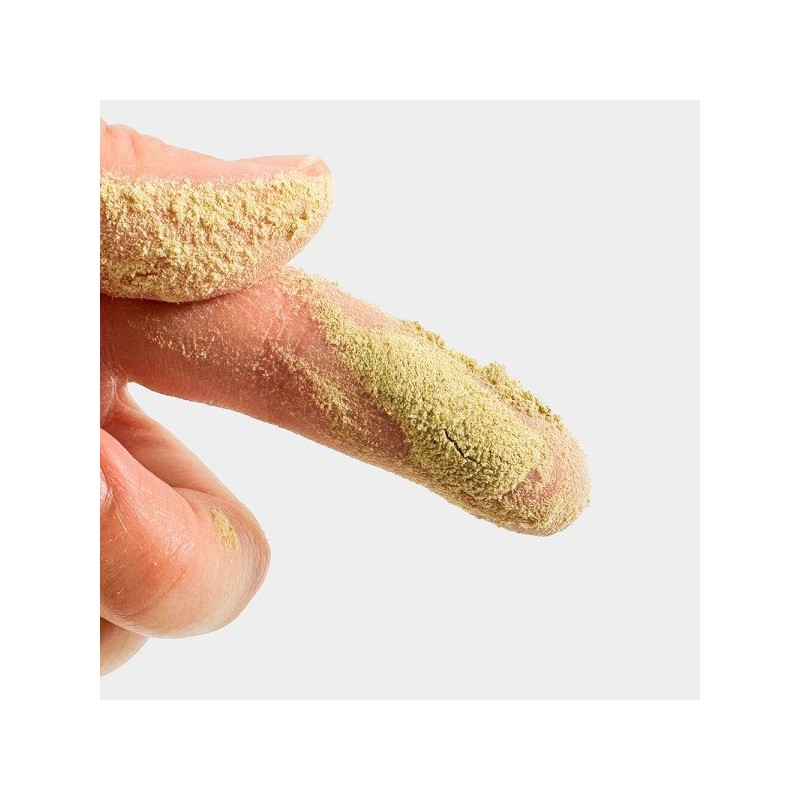 Oh Herb 수입 여주분말 여주가루 500g Imported Bitter Melon Powder