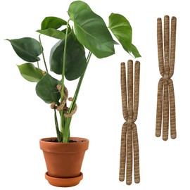 2PC Bendable Plant Climbers Stem Holders, 11.8 Inch Natural Coconut Fiber Climbing Houseplant Monstera Stem Supports, Reusable Flower Plant Stakes Trellis Stem Growth Accessories for Plant Indoor
