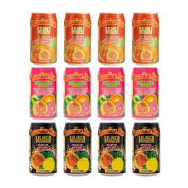 Hawaiian Sun, Luau Party Pack, Tropical Fruit Juice Drink, Variety Mix Flavor, Non Carbonated, RcTechDistro Bundle Box, 11.5 Fl Oz Per Can, Pack of 12 (Luau Party Pack 2)