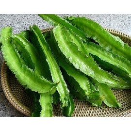 Winged Beans -Dau Rong;Tour-Poo (Psophocarpus Tetragonolobus) 50 Seeds