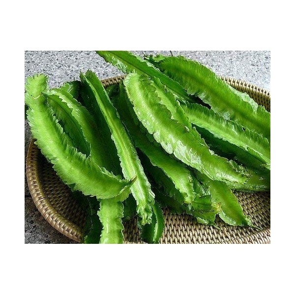 Winged Beans -Dau Rong;Tour-Poo (Psophocarpus Tetragonolobus) 50 Seeds