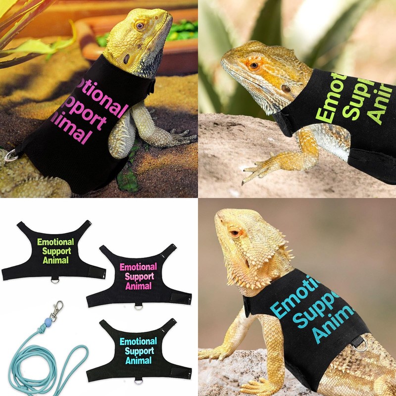 Bearded Dragon Lizards Clothes with Leash Set - Cute Lizard