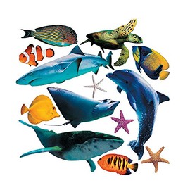 Fun Express Realistic Sea Ocean Animal Cardboard Cutouts (13 Piece Set Including Sharks, Whales, Turtles) Ocean Party Decor and Classroom Wall Decorations - VBS Vacation Bible School Supplies/Decor
