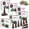 Cedar Incense Cones - Total 60 Cone Incense - Six