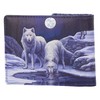 Nemesis Now Warriors of Winter Lisa Parker Wallet 10cm Blue,