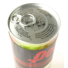 Penn Championship (20 Cans, 60 Balls Total Regular Duty Felt)