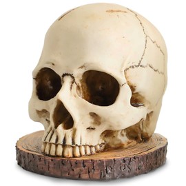 WALSIO Life Size Skull Knife Holder Resin Skull Shaped Knife Block for Kitchen Indoor Desk Decorations