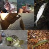 Goture Pack of 50 Fishing Hooks Jig Heads 1.5 g,