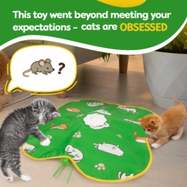 Hide and Seek Interactive Cat Toys, Cat Toys for Indoor Bored Adult Cat, Moving Concealed Feathers & Mouse Tail, Rechargeable Automatic Cat Toy, with 3-Speed Adjustment, 150 FT Range Remote Control