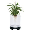 Penn-Plax Aquaponic Planter and Aquarium for Betta Fish | Tank