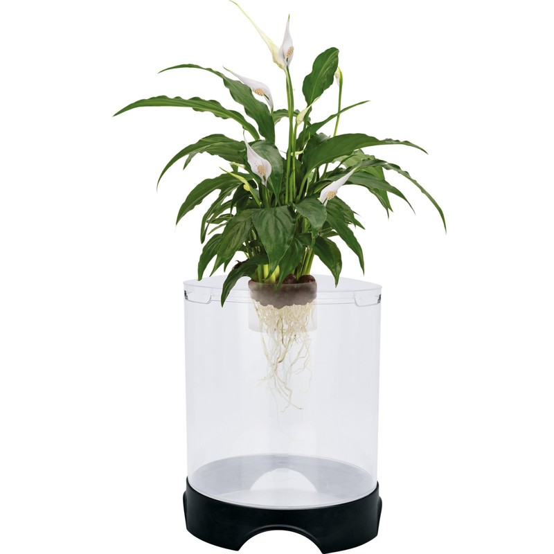 Penn-Plax Aquaponic Planter and Aquarium for Betta Fish | Tank