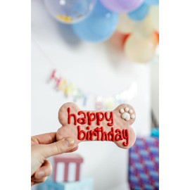 Wufers Dog Birthday Cookie Box - Dog Treat, Dog Cookies, Dog Gifts, Human Grade Ingredients, Cute Hand Decorated and Gentle for Tummies of All Breed Sizes - 9 Cookies, Birthday Girl